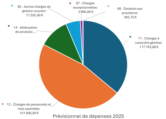 Budget de dépenses 2025